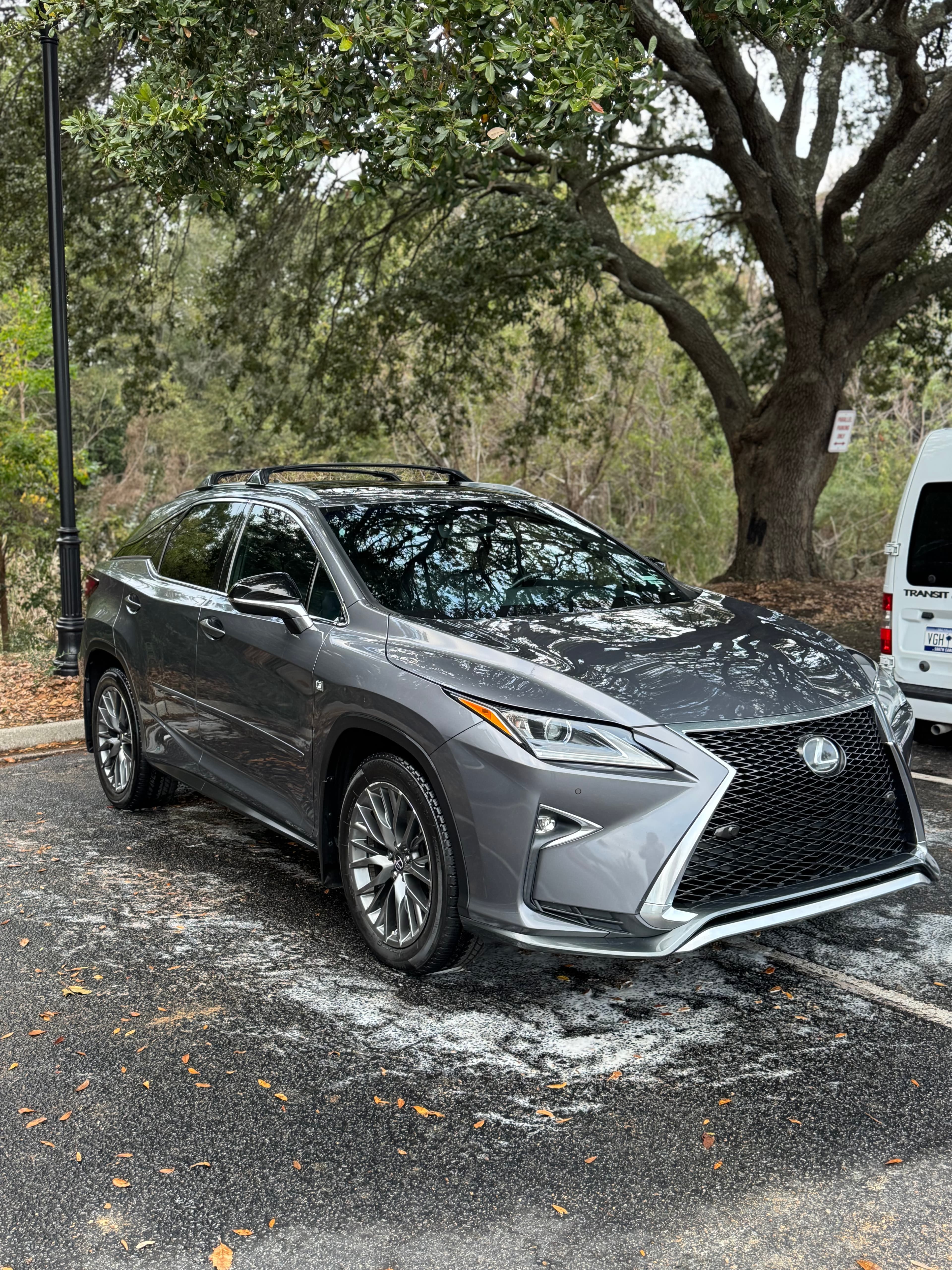 Glossy gray Lexus RX F-Sport SUV after detailing